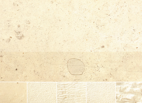 CREMA MOCA 3.jpg